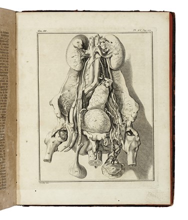 Lotto di 3 opere di medicina del '700. Medicina  - Auction Libri, Autografi e Manoscritti - Libreria Antiquaria Gonnelli - Casa d'Aste - Gonnelli Casa d'Aste