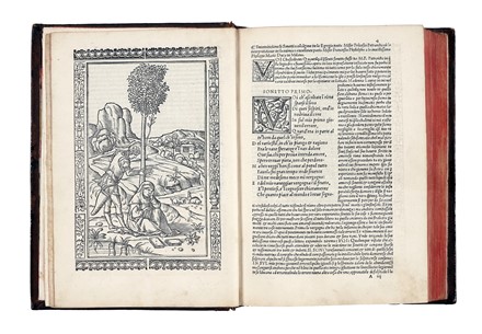  Petrarca Francesco : Li sonetti canzone triumphi [...] con li soi commenti... Letteratura italiana, Figurato  - Auction Books, Autographs and Manuscripts - Libreria Antiquaria Gonnelli - Casa d'Aste - Gonnelli Casa d'Aste