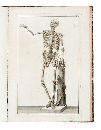  Carradori Francesco : Istruzione elementare per gli studiosi della scultura... Scultura  - Auction Libri, Autografi e Manoscritti - Libreria Antiquaria Gonnelli - Casa d'Aste - Gonnelli Casa d'Aste