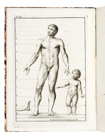  Carradori Francesco : Istruzione elementare per gli studiosi della scultura... Scultura  - Auction Libri, Autografi e Manoscritti - Libreria Antiquaria Gonnelli - Casa d'Aste - Gonnelli Casa d'Aste