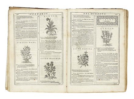  Durante Castore : Herbario nuovo... Botanica  - Auction Books, Autographs and Manuscripts - Libreria Antiquaria Gonnelli - Casa d'Aste - Gonnelli Casa d'Aste