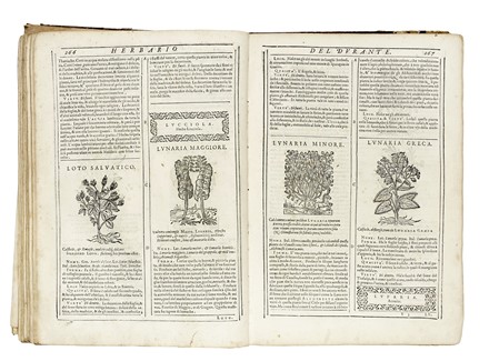  Durante Castore : Herbario nuovo... Botanica  - Auction Books, Autographs and Manuscripts - Libreria Antiquaria Gonnelli - Casa d'Aste - Gonnelli Casa d'Aste