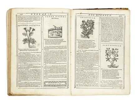  Durante Castore : Herbario nuovo... Botanica  - Auction Books, Autographs and Manuscripts - Libreria Antiquaria Gonnelli - Casa d'Aste - Gonnelli Casa d'Aste