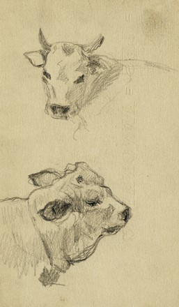  Angelo Torchi  (Massalombarda, 1856 - 1915) : Lotto composto di 48 disegni di vario genere.  - Auction Arte Antica, Moderna e Contemporanea - Libreria Antiquaria Gonnelli - Casa d'Aste - Gonnelli Casa d'Aste