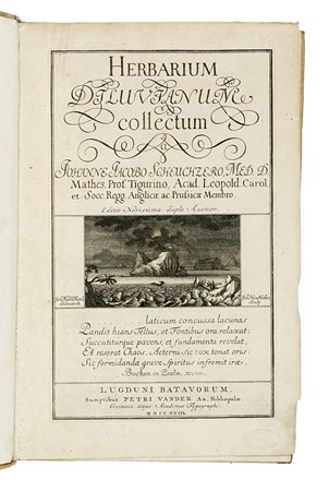  Scheuchzer Johann Jacob : Herbarium diluvianum... Botanica, Figurato  - Auction Books, Autographs and Manuscripts - Libreria Antiquaria Gonnelli - Casa d'Aste - Gonnelli Casa d'Aste