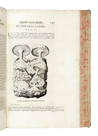  Mercati Michele : Metallotheca Opus Posthumum.  - Auction Books, Autographs and Manuscripts - Libreria Antiquaria Gonnelli - Casa d'Aste - Gonnelli Casa d'Aste