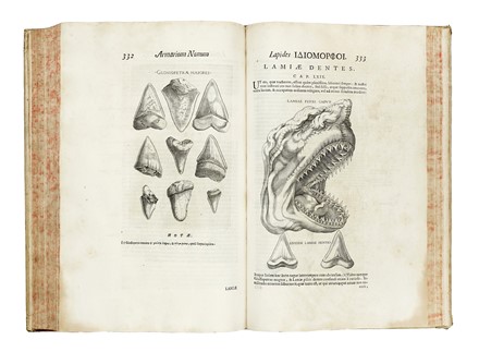  Mercati Michele : Metallotheca Opus Posthumum.  - Auction Books, Autographs and Manuscripts - Libreria Antiquaria Gonnelli - Casa d'Aste - Gonnelli Casa d'Aste