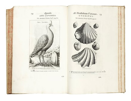  Mercati Michele : Metallotheca Opus Posthumum.  - Auction Books, Autographs and Manuscripts - Libreria Antiquaria Gonnelli - Casa d'Aste - Gonnelli Casa d'Aste