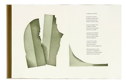  De Signoribus Eugenio : L'acqua domestica. Libro d'Artista, Bodoni, Collezionismo e Bibliografia, Collezionismo e Bibliografia  Nino Ricci  - Auction Books, Autographs and Manuscripts - Libreria Antiquaria Gonnelli - Casa d'Aste - Gonnelli Casa d'Aste