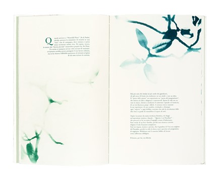  Cottini Paolo : Il giardino � aperto [...]. Incisioni di Alessandra Angelini. Libro d'Artista, Collezionismo e Bibliografia  Alessandra Angelini  - Auction Books, Autographs and Manuscripts - Libreria Antiquaria Gonnelli - Casa d'Aste - Gonnelli Casa d'Aste