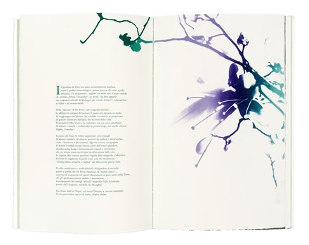  Cottini Paolo : Il giardino � aperto [...]. Incisioni di Alessandra Angelini. Libro d'Artista, Collezionismo e Bibliografia  Alessandra Angelini  - Auction Books, Autographs and Manuscripts - Libreria Antiquaria Gonnelli - Casa d'Aste - Gonnelli Casa d'Aste