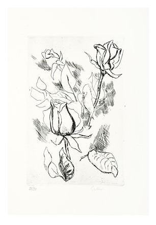  Zurlini Valerio : Gli anni delle immagini perdute. Introduzione di Vasco Pratolini...  Vasco Pratolini  (Firenze, 1913 - Roma, 1991), Renato Guttuso  (Bagheria, 1911 - Roma, 1987)  - Asta Libri, autografi e manoscritti - Libreria Antiquaria Gonnelli - Casa d'Aste - Gonnelli Casa d'Aste