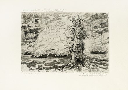  Carlo Alberto Petrucci  (Roma, 1881 - 1963) : Lotto composto di 9 incisioni.  - Asta Arte Antica, Moderna e Contemporanea - Libreria Antiquaria Gonnelli - Casa d'Aste - Gonnelli Casa d'Aste