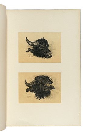  Charles Coleman  (Pontrefact,  - Roma, 1874) : A Series of subiects peculiar to the campagna of Rome and Pontine Marshes designed from nature and etched by C. Coleman.  - Auction Arte Antica, Moderna e Contemporanea - Libreria Antiquaria Gonnelli - Casa d'Aste - Gonnelli Casa d'Aste