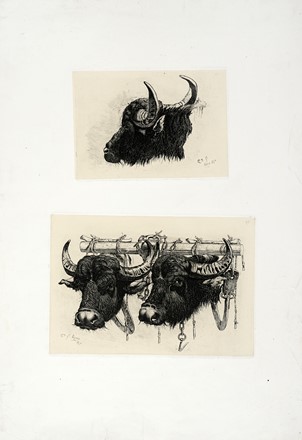  Charles Coleman  (Pontrefact,  - Roma, 1874) : A Series of subiects peculiar to the campagna of Rome and Pontine Marshes designed from nature and etched by C. Coleman.  - Auction Arte Antica, Moderna e Contemporanea - Libreria Antiquaria Gonnelli - Casa d'Aste - Gonnelli Casa d'Aste