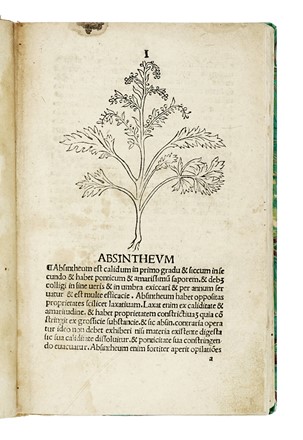 [Herbarius Latinus]. Incipit tractatus de virtutibus herbarum. Botanica  - Auction Books, Autographs and Manuscripts - Libreria Antiquaria Gonnelli - Casa d'Aste - Gonnelli Casa d'Aste