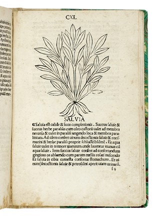 [Herbarius Latinus]. Incipit tractatus de virtutibus herbarum. Botanica  - Auction Books, Autographs and Manuscripts - Libreria Antiquaria Gonnelli - Casa d'Aste - Gonnelli Casa d'Aste