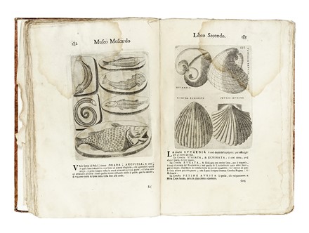  Moscardo Lodovico : Note overo Memorie del museo di Lodovico Moscardo...  - Auction Books, Autographs and Manuscripts - Libreria Antiquaria Gonnelli - Casa d'Aste - Gonnelli Casa d'Aste
