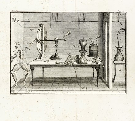  Galvani Luigi : De viribus electricitatis in motu musculari commentarius. Elettricit�, Scienze tecniche e matematiche  Giovanni Aldini  - Auction Books, Autographs and Manuscripts - Libreria Antiquaria Gonnelli - Casa d'Aste - Gonnelli Casa d'Aste