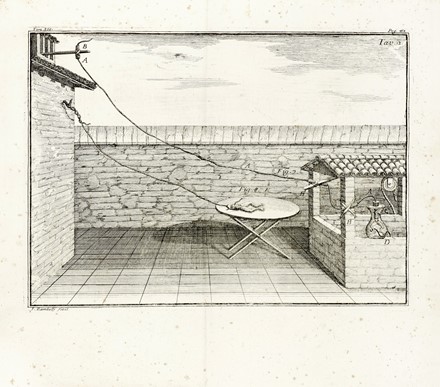  Galvani Luigi : De viribus electricitatis in motu musculari commentarius. Elettricit�, Scienze tecniche e matematiche  Giovanni Aldini  - Auction Books, Autographs and Manuscripts - Libreria Antiquaria Gonnelli - Casa d'Aste - Gonnelli Casa d'Aste
