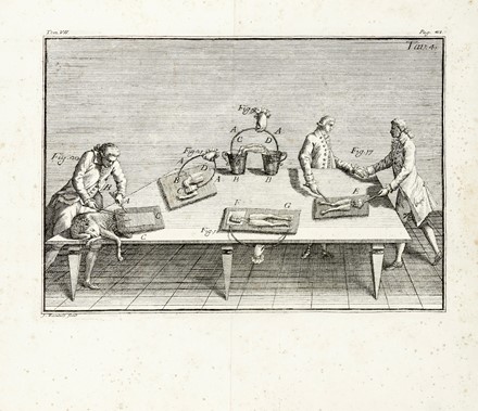  Galvani Luigi : De viribus electricitatis in motu musculari commentarius. Elettricit�, Scienze tecniche e matematiche  Giovanni Aldini  - Auction Books, Autographs and Manuscripts - Libreria Antiquaria Gonnelli - Casa d'Aste - Gonnelli Casa d'Aste