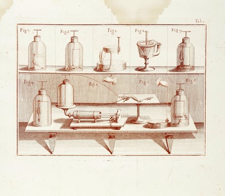  Galvani Luigi : De viribus electricitatis in motu musculari commentarius. Elettricit�, Scienze tecniche e matematiche  Giovanni Aldini  - Auction Books, Autographs and Manuscripts - Libreria Antiquaria Gonnelli - Casa d'Aste - Gonnelli Casa d'Aste