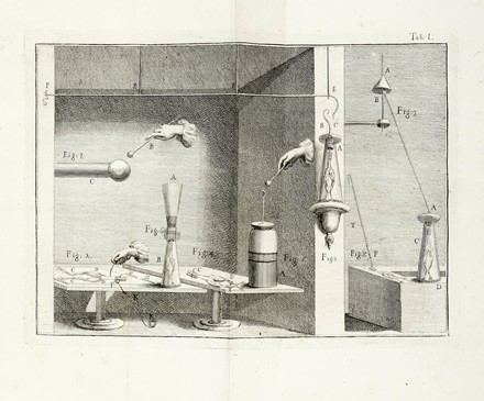  Galvani Luigi : De viribus electricitatis in motu musculari commentarius. Elettricit�, Scienze tecniche e matematiche  Giovanni Aldini  - Auction Books, Autographs and Manuscripts - Libreria Antiquaria Gonnelli - Casa d'Aste - Gonnelli Casa d'Aste