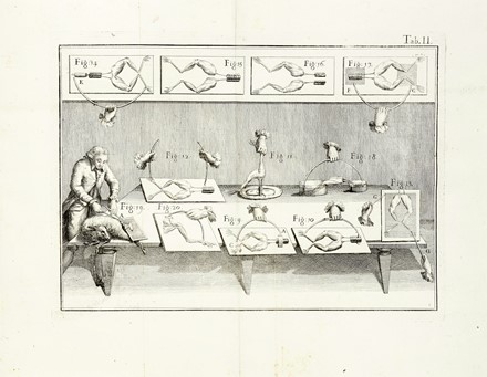  Galvani Luigi : De viribus electricitatis in motu musculari commentarius. Elettricit�, Scienze tecniche e matematiche  Giovanni Aldini  - Auction Books, Autographs and Manuscripts - Libreria Antiquaria Gonnelli - Casa d'Aste - Gonnelli Casa d'Aste