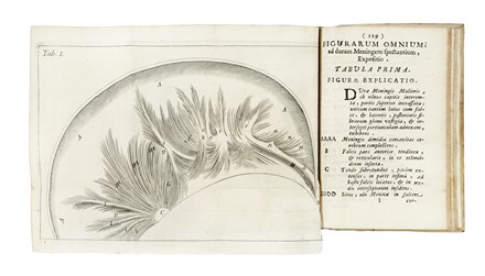  Pacchioni Antonio : De durae meningis fabrica & usu disquisitio anatomica... [CON:] Dissertatio epistolaris de glandulis conglobatis durae meningis human�, indeque ortis lymphaticis ad piam meningem productis... Medicina  Lucas Schr�ck  - Auction Books, Autographs and Manuscripts - Libreria Antiquaria Gonnelli - Casa d'Aste - Gonnelli Casa d'Aste