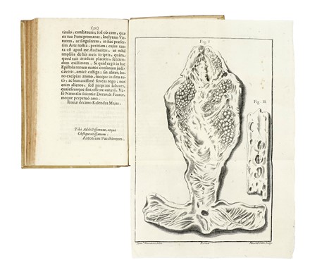  Pacchioni Antonio : De durae meningis fabrica & usu disquisitio anatomica... [CON:] Dissertatio epistolaris de glandulis conglobatis durae meningis human�, indeque ortis lymphaticis ad piam meningem productis... Medicina  Lucas Schr�ck  - Auction Books, Autographs and Manuscripts - Libreria Antiquaria Gonnelli - Casa d'Aste - Gonnelli Casa d'Aste