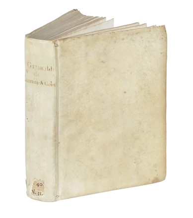  Grimaldi Francesco Maria : Physico-mathesis de lumine, coloribus, et iride, alijsque sequenti pagina indicatis... Scienze tecniche e matematiche, Fisica, Scienze tecniche e matematiche  - Auction Books, Autographs and Manuscripts - Libreria Antiquaria Gonnelli - Casa d'Aste - Gonnelli Casa d'Aste