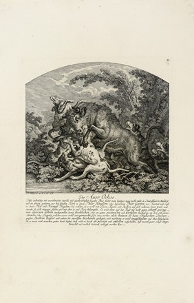  Johann Elias Ridinger  (Ulm, 1698 - Augsburg, 1767) : Die von verschidenen Arthen der Hunden behaezte Jagtbare Thiere. Mit anmerckungen wie solche von denenselben gejagt, angefallen, gefangen, gehalten, nidergezogen und theils gew�rget werden.  - Asta Arte Antica, Moderna e Contemporanea - Libreria Antiquaria Gonnelli - Casa d'Aste - Gonnelli Casa d'Aste