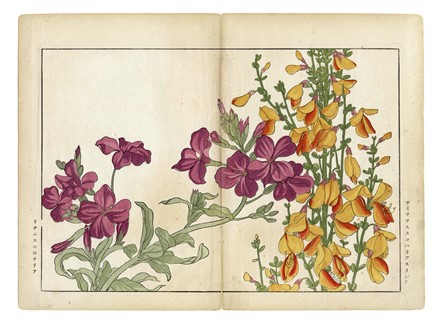  Tanigami Konan  (Prefettura di Hyogo, 1879 - 1928) : Cinque tavole da Seiyo Soka Zufu (fiori estivi).  - Asta Arte Antica, Moderna e Contemporanea [parte I] - Libreria Antiquaria Gonnelli - Casa d'Aste - Gonnelli Casa d'Aste