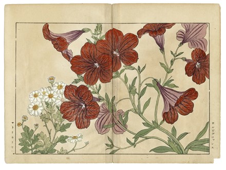  Tanigami Konan  (Prefettura di Hyogo, 1879 - 1928) : Cinque tavole da Seiyo Soka Zufu (fiori estivi).  - Asta Arte Antica, Moderna e Contemporanea [parte I] - Libreria Antiquaria Gonnelli - Casa d'Aste - Gonnelli Casa d'Aste