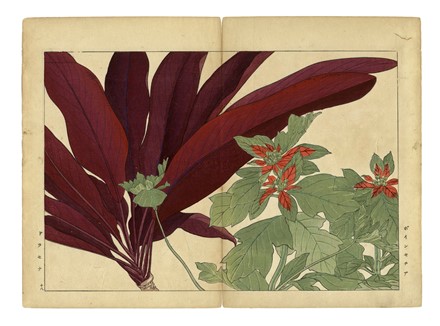  Tanigami Konan  (Prefettura di Hyogo, 1879 - 1928) : Cinque tavole da Seiyo Soka Zufu (fiori estivi).  - Asta Arte Antica, Moderna e Contemporanea [parte I] - Libreria Antiquaria Gonnelli - Casa d'Aste - Gonnelli Casa d'Aste