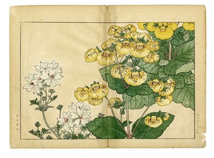  Tanigami Konan  (Prefettura di Hyogo, 1879 - 1928) : Cinque tavole da Seiyo Soka Zufu (fiori estivi).  - Asta Arte Antica, Moderna e Contemporanea [parte I] - Libreria Antiquaria Gonnelli - Casa d'Aste - Gonnelli Casa d'Aste