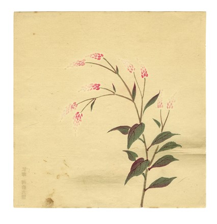  Tanigami Konan  (Prefettura di Hyogo, 1879 - 1928) : Cinque tavole da Seiyo Soka Zufu (fiori estivi).  - Asta Arte Antica, Moderna e Contemporanea [parte I] - Libreria Antiquaria Gonnelli - Casa d'Aste - Gonnelli Casa d'Aste