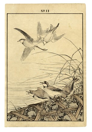  Maekawa Bunrei  (Kyoto, 1837 - 1917) : Sei tavole da Bunrei gafu  (Manuale di pittura di Bunrei).  - Asta Arte Antica, Moderna e Contemporanea [parte I] - Libreria Antiquaria Gonnelli - Casa d'Aste - Gonnelli Casa d'Aste