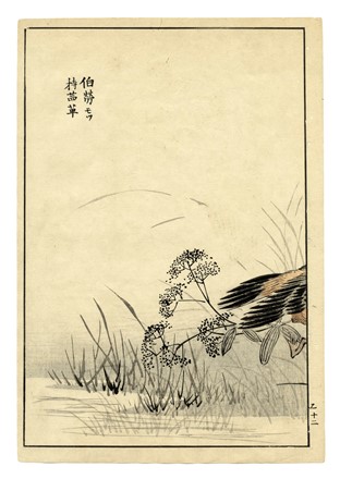  Maekawa Bunrei  (Kyoto, 1837 - 1917) : Sei tavole da Bunrei gafu  (Manuale di pittura di Bunrei).  - Asta Arte Antica, Moderna e Contemporanea [parte I] - Libreria Antiquaria Gonnelli - Casa d'Aste - Gonnelli Casa d'Aste