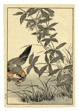  Maekawa Bunrei  (Kyoto, 1837 - 1917) : Sei tavole da Bunrei gafu  (Manuale di pittura di Bunrei).  - Asta Arte Antica, Moderna e Contemporanea [parte I] - Libreria Antiquaria Gonnelli - Casa d'Aste - Gonnelli Casa d'Aste