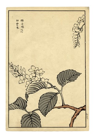  Maekawa Bunrei  (Kyoto, 1837 - 1917) : Sei tavole da Bunrei gafu  (Manuale di pittura di Bunrei).  - Asta Arte Antica, Moderna e Contemporanea [parte I] - Libreria Antiquaria Gonnelli - Casa d'Aste - Gonnelli Casa d'Aste