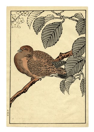  Maekawa Bunrei  (Kyoto, 1837 - 1917) : Sei tavole da Bunrei gafu  (Manuale di pittura di Bunrei).  - Asta Arte Antica, Moderna e Contemporanea [parte I] - Libreria Antiquaria Gonnelli - Casa d'Aste - Gonnelli Casa d'Aste