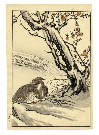  Maekawa Bunrei  (Kyoto, 1837 - 1917) : Sei tavole da Bunrei gafu  (Manuale di pittura di Bunrei).  - Asta Arte Antica, Moderna e Contemporanea [parte I] - Libreria Antiquaria Gonnelli - Casa d'Aste - Gonnelli Casa d'Aste