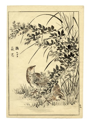  Maekawa Bunrei  (Kyoto, 1837 - 1917) : Sei tavole da Bunrei gafu  (Manuale di pittura di Bunrei).  - Asta Arte Antica, Moderna e Contemporanea [parte I] - Libreria Antiquaria Gonnelli - Casa d'Aste - Gonnelli Casa d'Aste