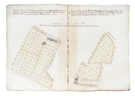 Cartografia, Geografia e viaggi : Copia della pianta de quattro uniti poderi, alla villa, del ill:mo Sig:re Marchese Scipione Maria Capponi, posta a montui nel Popolo di S: Marco Vecchio /...podere della Pietra/... podere della Villa/...podere del Fattoio e dell'Arte della lana.  - Auction Arte Antica, Moderna e Contemporanea [parte I] - Libreria Antiquaria Gonnelli - Casa d'Aste - Gonnelli Casa d'Aste