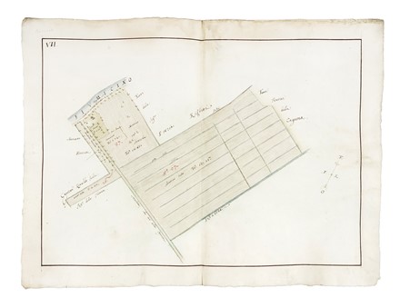  Domenico Maria Viaggi  (perito agrimensore a Bologna, ) [attribuito a] : Regesto e dieci cabrei della tenuta detta La Cagnona del Marchese Scipione Capponi nel comprensorio savignanese.  - Auction Arte Antica, Moderna e Contemporanea [parte I] - Libreria Antiquaria Gonnelli - Casa d'Aste - Gonnelli Casa d'Aste