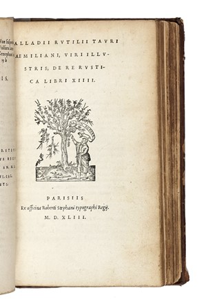  Varro Marcus Terentius : Libri de re rustica... Agricoltura, Storia, Scienze naturali, Storia, Diritto e Politica  Marcus Porcius Cato, Pietro Vettori  - Auction Libri, Autografi e Manoscritti - Libreria Antiquaria Gonnelli - Casa d'Aste - Gonnelli Casa d'Aste