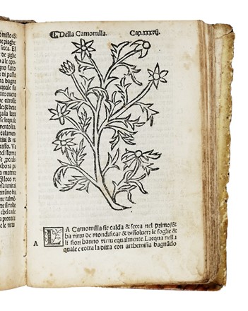 [Herbolario volgare...].  - Asta Libri, Autografi e Manoscritti - Libreria Antiquaria Gonnelli - Casa d'Aste - Gonnelli Casa d'Aste