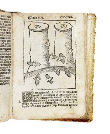 [Herbolario volgare...].  - Asta Libri, Autografi e Manoscritti - Libreria Antiquaria Gonnelli - Casa d'Aste - Gonnelli Casa d'Aste