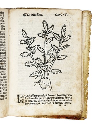 [Herbolario volgare...].  - Asta Libri, Autografi e Manoscritti - Libreria Antiquaria Gonnelli - Casa d'Aste - Gonnelli Casa d'Aste